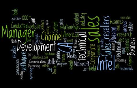 Professional:  A second resume